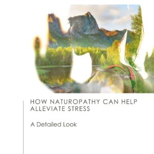 Blog article image How Naturopathy Can Help Alleviate Stress A Detailed Look