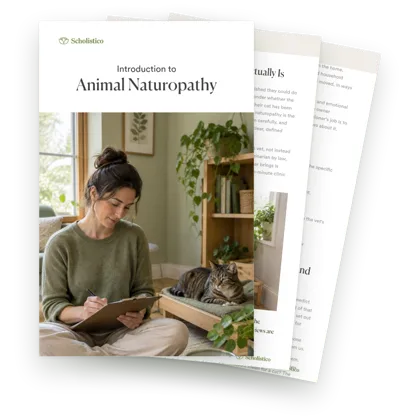 Introduction to Animal Naturopathy