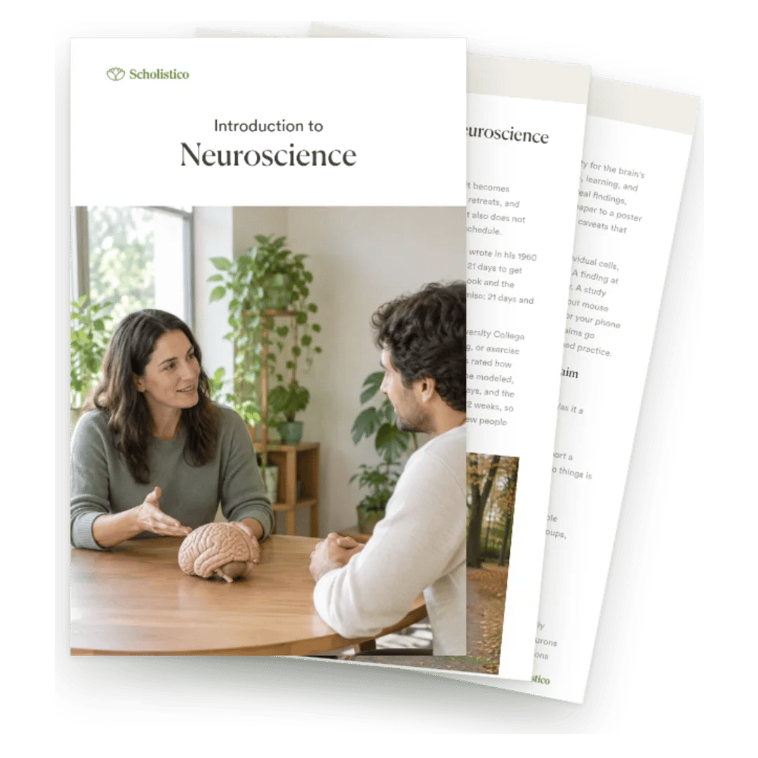 What neuroscience actually says about learning, habits, stress, and sleep, and how a coach uses it