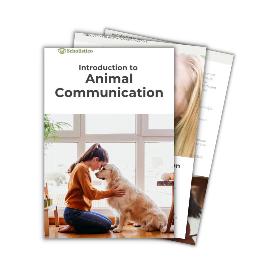 Discover animal communication — start your free introductory course today.