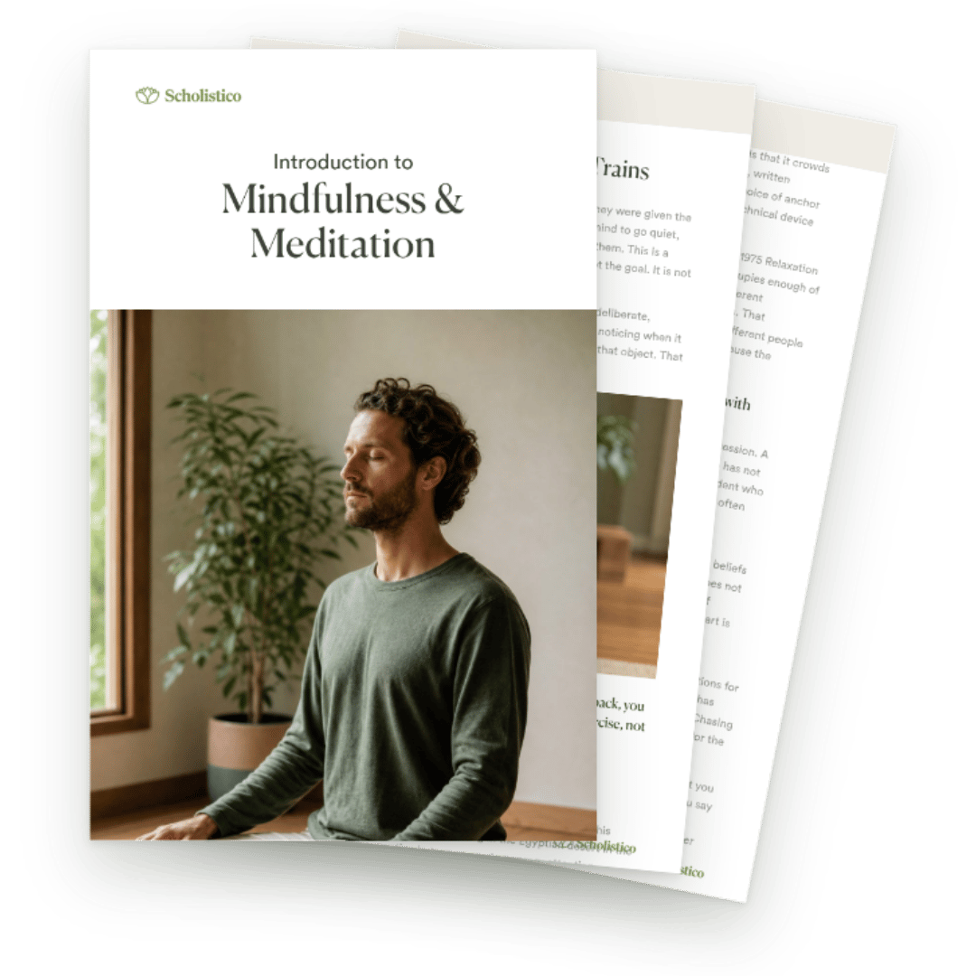 Discover what mindfulness & meditation actually is, how it works, and what it takes to practice it.