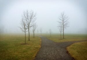 Path disappearing in the fog