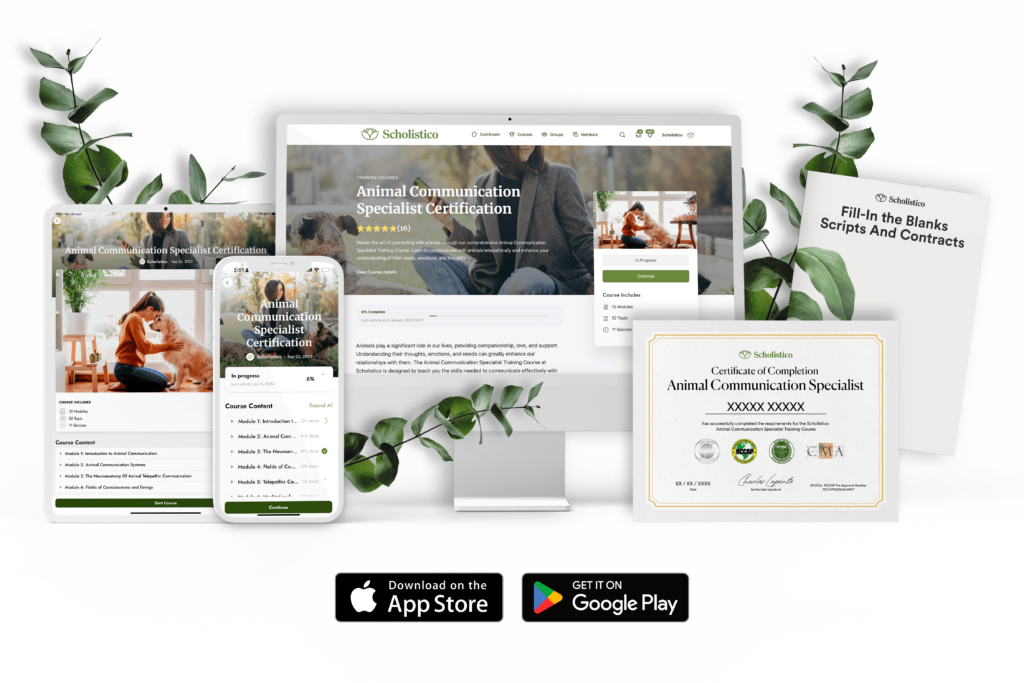 Scholistico Mockups Animal Communication Specialist All 2 Transparent Compressed