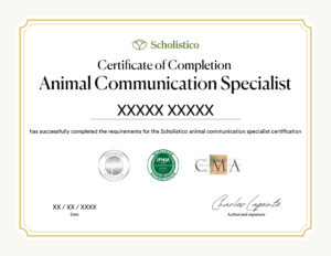 Scholistico Social Media Certificate ANCOM English