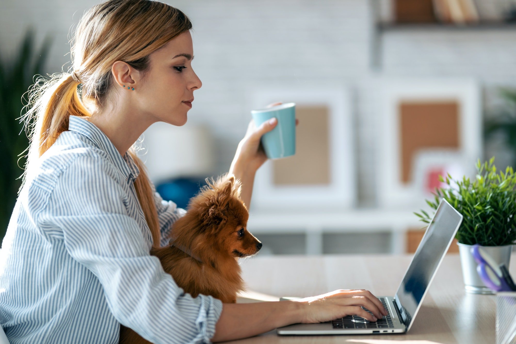 Introduction To Animal Communication