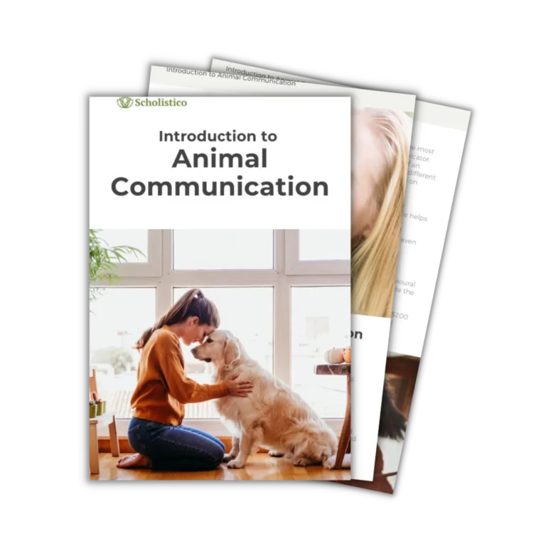 Animal Communication Mockups NL 3