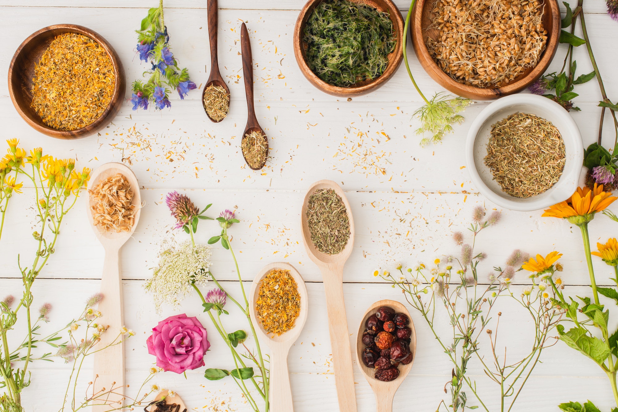 Introduction to Naturopathy