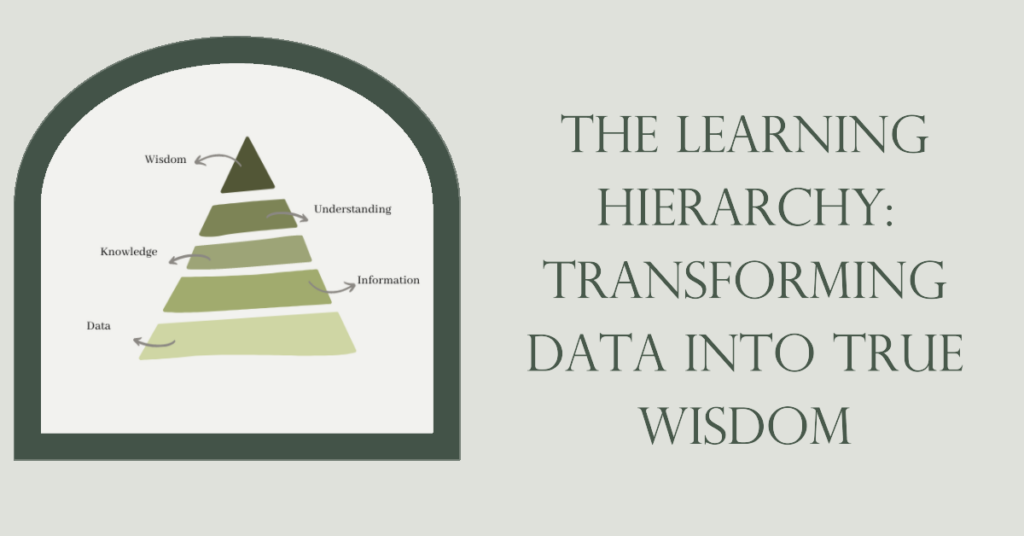 The Learning Hierarchy: Transforming Data into True Wisdom