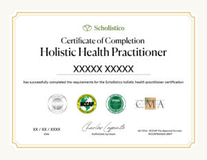 Scholistico Social Media Certificate HHP English