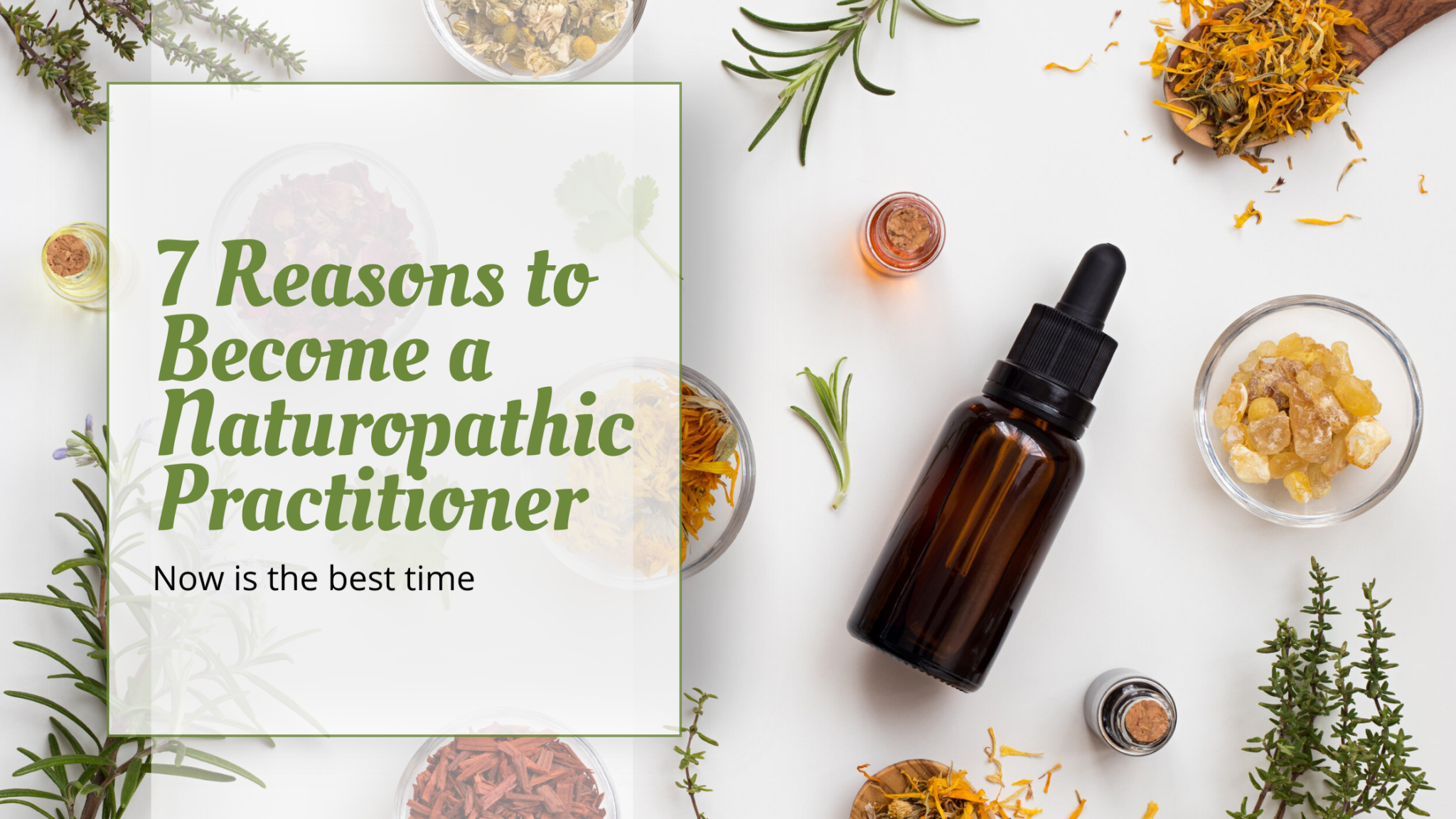 Naturopathic Practitioner : 7 Reasons Why Now is the Perfect Time to ...