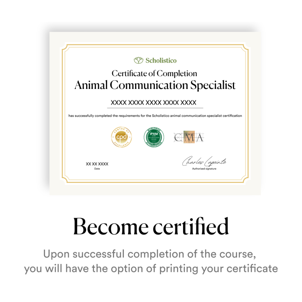 Scholistico_Course_Art-Therapy_Carousel_3_English-4