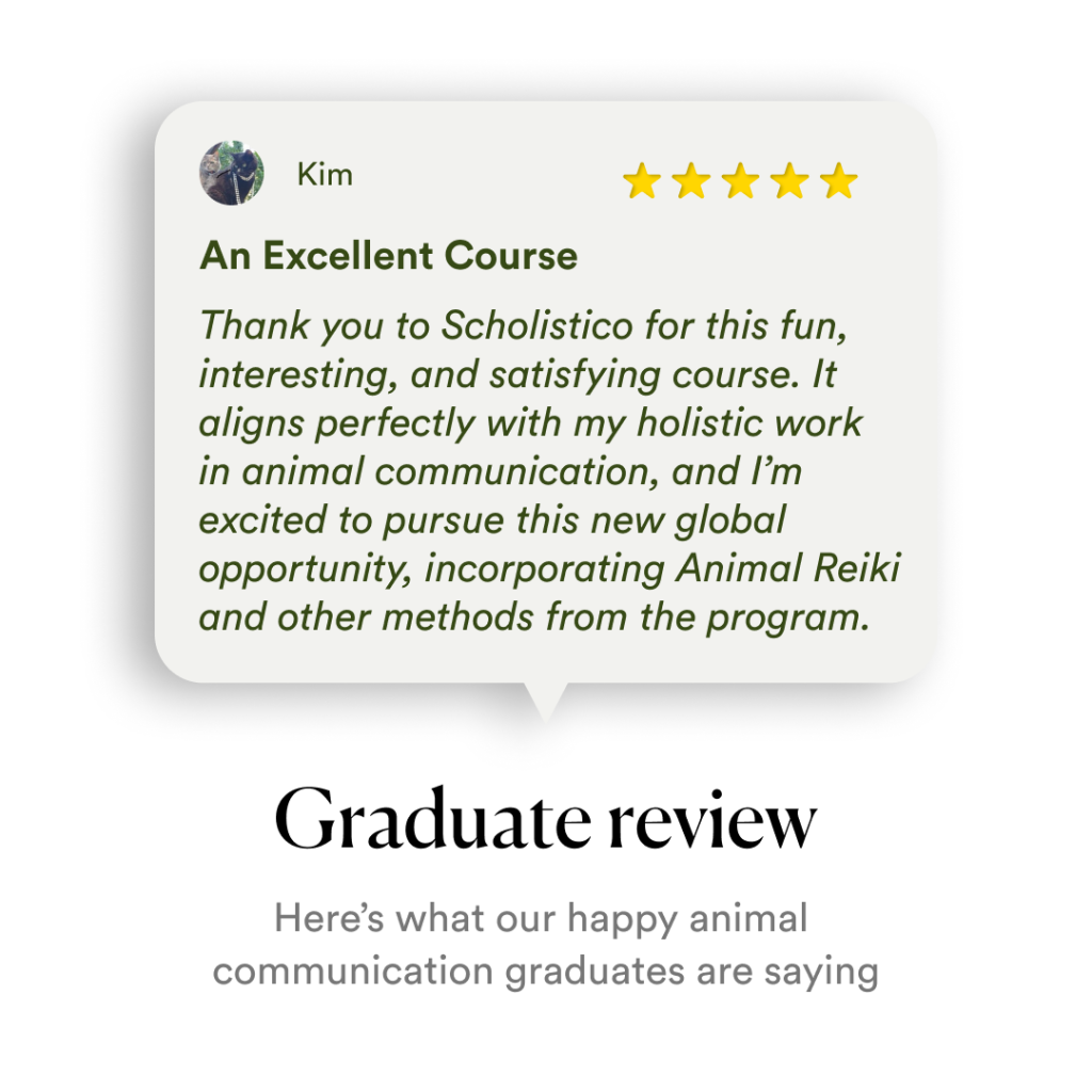 Scholistico_Course_Animal-Communication_Carousel_7_English