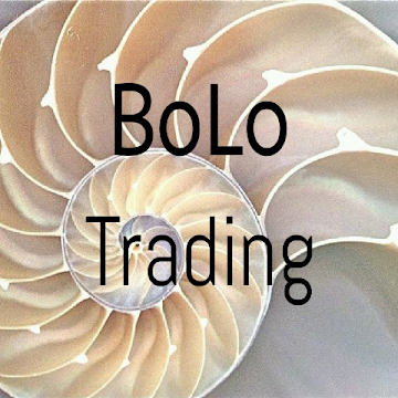 Profile photo of Bo LO Trading