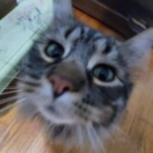 Profile photo of Sarah