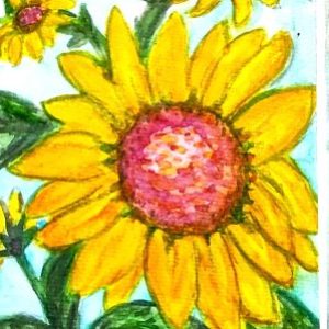 Profile photo of Sheila