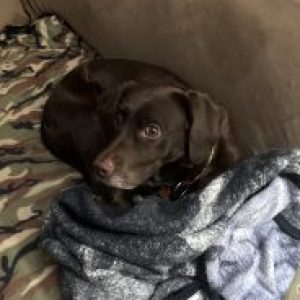 Profile photo of Patricia