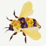 Profile photo of Jennifer
