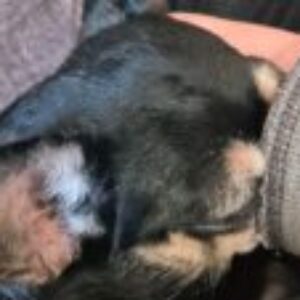 Profile photo of Toni