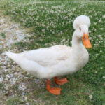 Profile photo of Madelyn