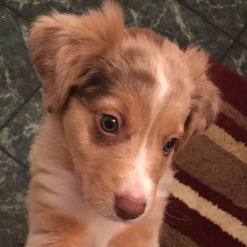 Profile photo of Azucena