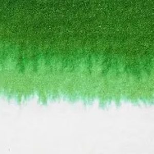 Profile photo of Elizabeth