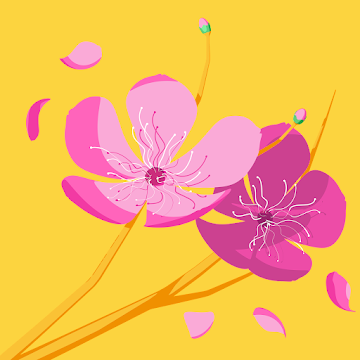 Profile photo of Aekta (Amber Ria)