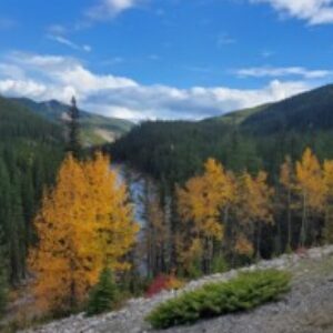 Profile photo of Leisha Segboer