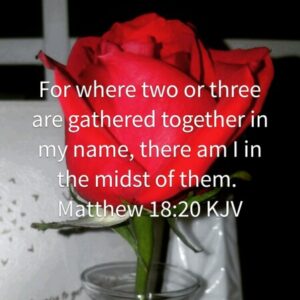 Profile photo of Jennifer