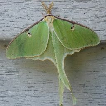 Profile photo of Kerry Donnelly