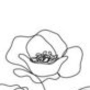 Profile photo of anita