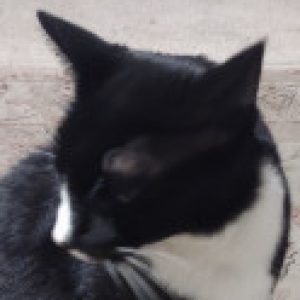 Profile photo of Marcus
