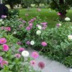 Profile photo of Janetta