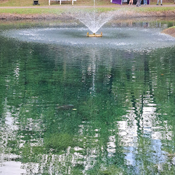 Profile photo of Savannah