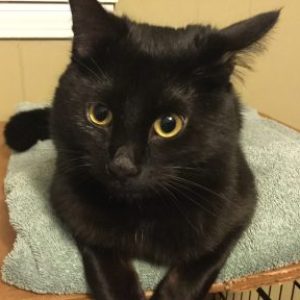 Profile photo of Yuka