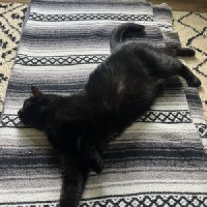 Profile photo of Heather