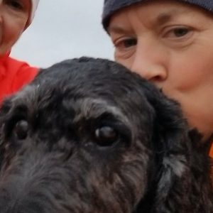 Profile photo of Carol