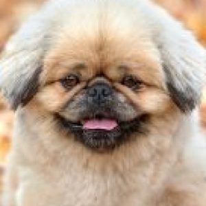 Profile photo of Anna