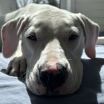 Profile photo of Marilyn