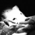 Profile photo of Tabitha