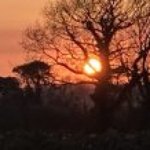 Profile photo of Ann