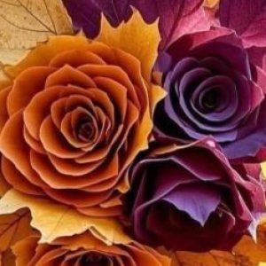 Profile photo of LIUBOV