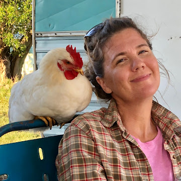 Profile photo of Karrie Steely