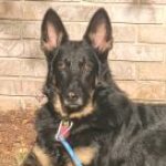 Profile photo of Allesa