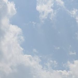Profile photo of Caireen
