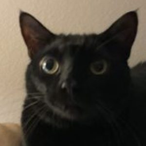 Profile photo of Mary