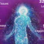 Profile photo of Dawn