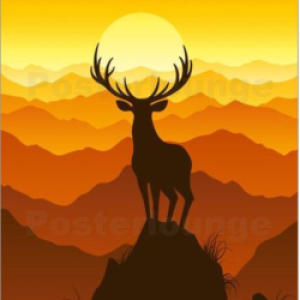 Profile photo of Jessica