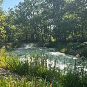 Profile photo of Anika