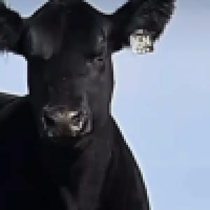 Profile photo of Nancy