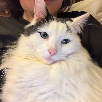 Profile photo of Xuemei